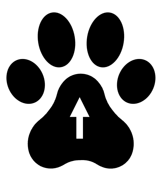Scroll to top